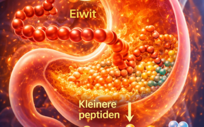 Betaine HCL werking