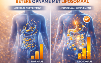 Liposomaal vs normaal supplement